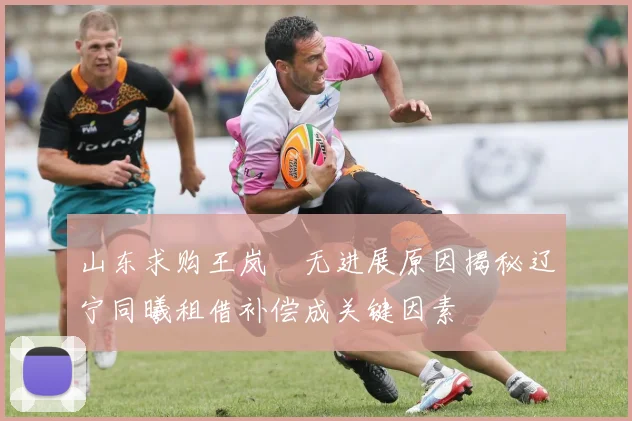 山东求购王岚嵚无进展原因揭秘辽宁同曦租借补偿成关键因素