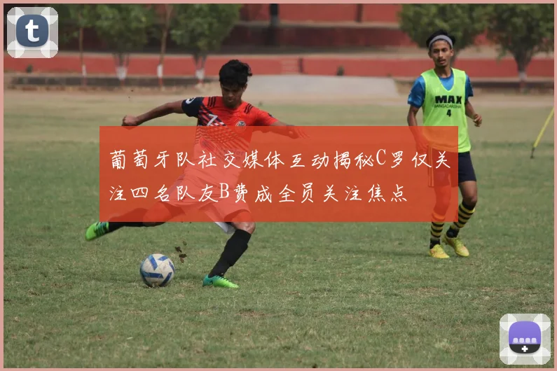 葡萄牙队社交媒体互动揭秘C罗仅关注四名队友B费成全员关注焦点