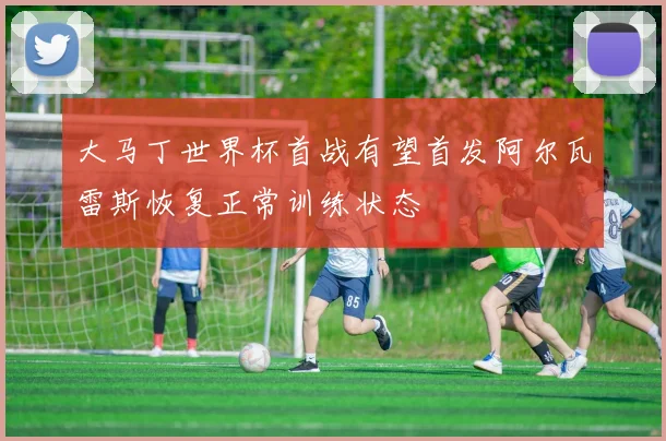 大马丁世界杯首战有望首发阿尔瓦雷斯恢复正常训练状态